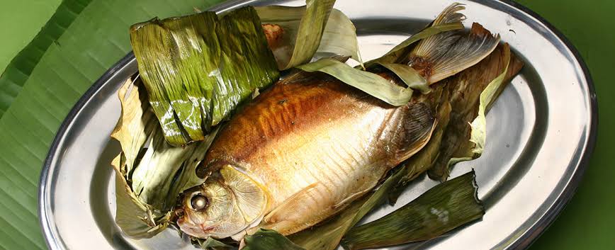 Leia mais sobre o artigo Peixe na Bananeira